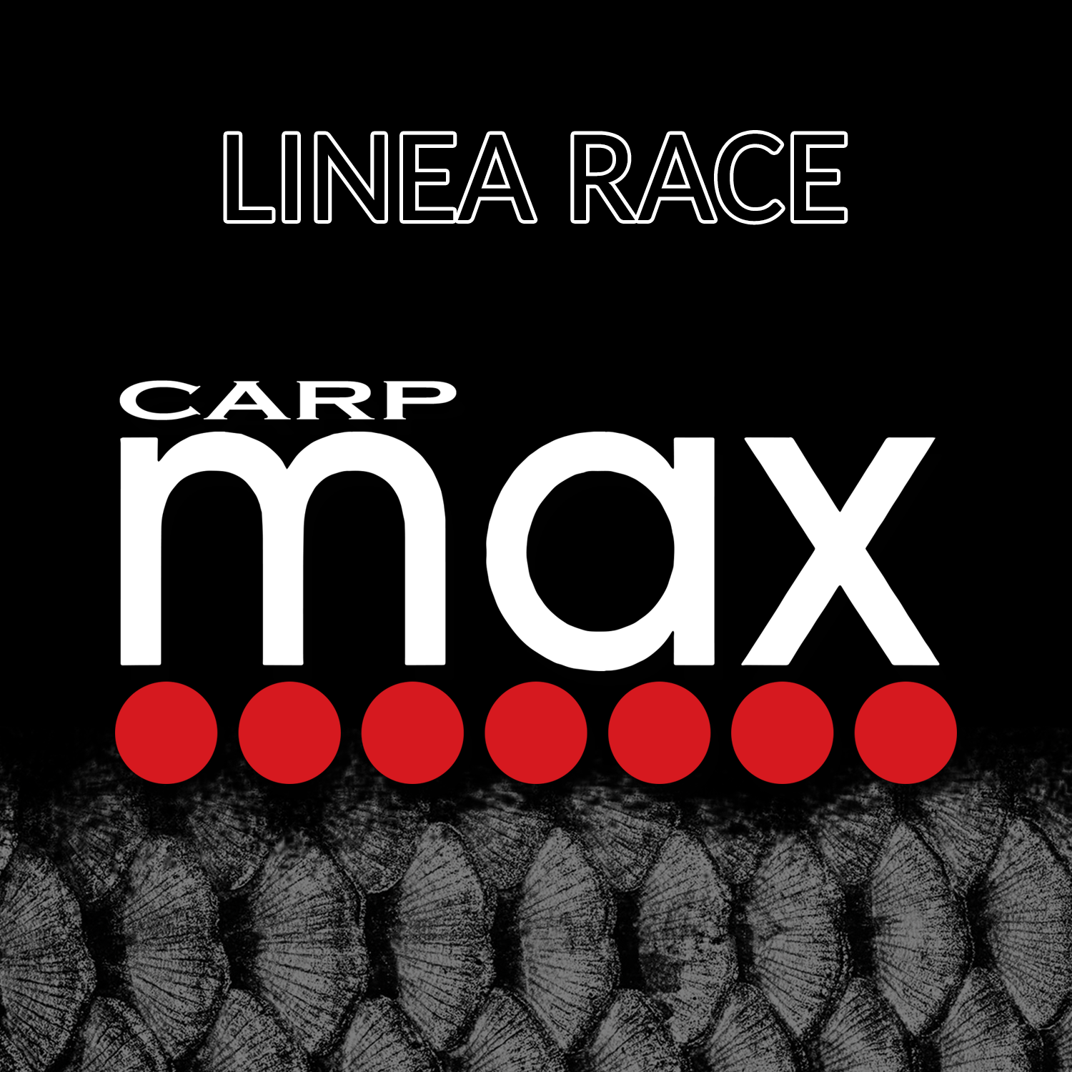 LINEA RACE