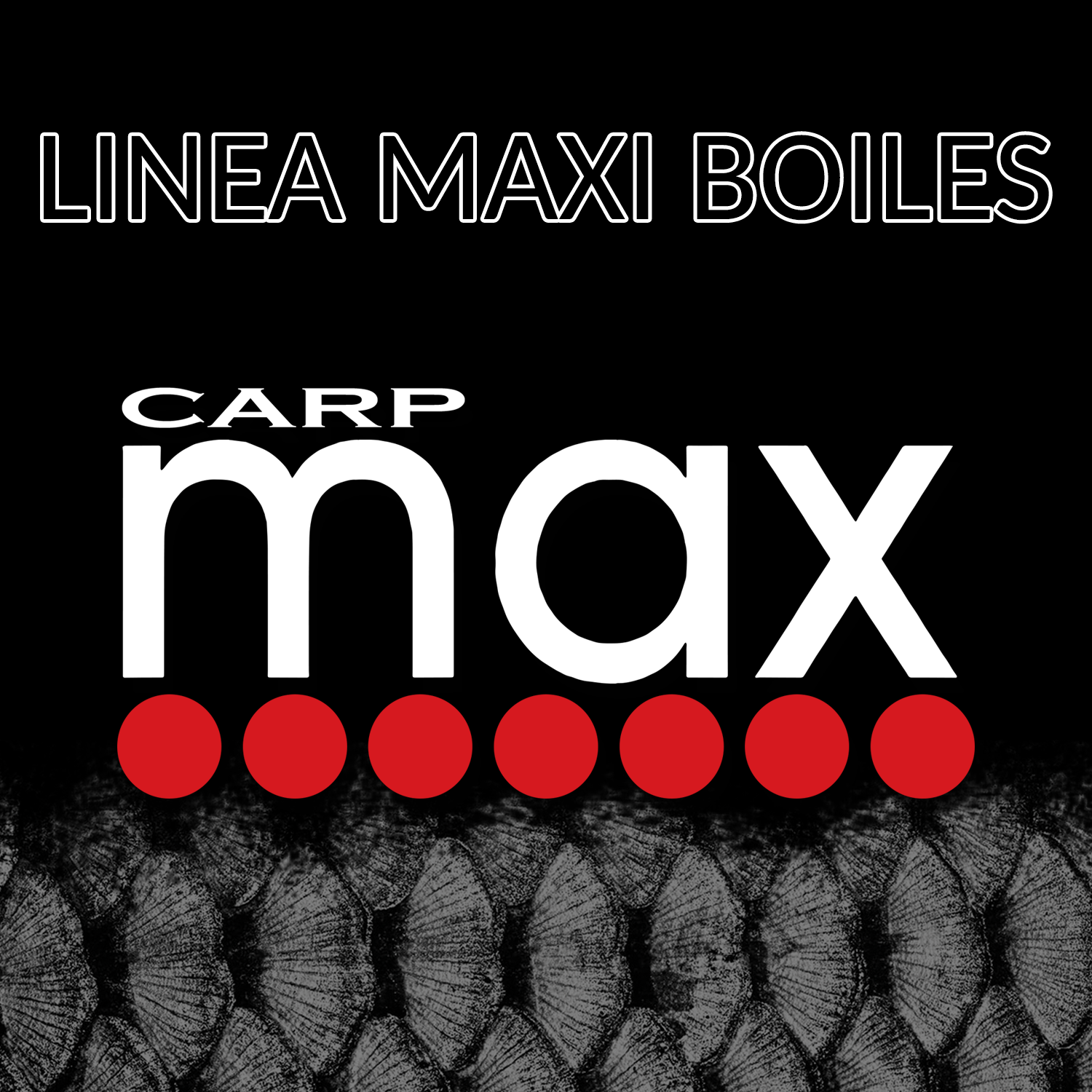 LINEA MAXI BOILES